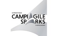 Conférence de presse Championnats Québécois de gymnastique et trampoline 2024