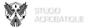 studio-acrobatique-quebec.png