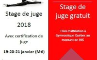 Stage gratuit pour officiels de gymnastique acrobatique (acrosport)